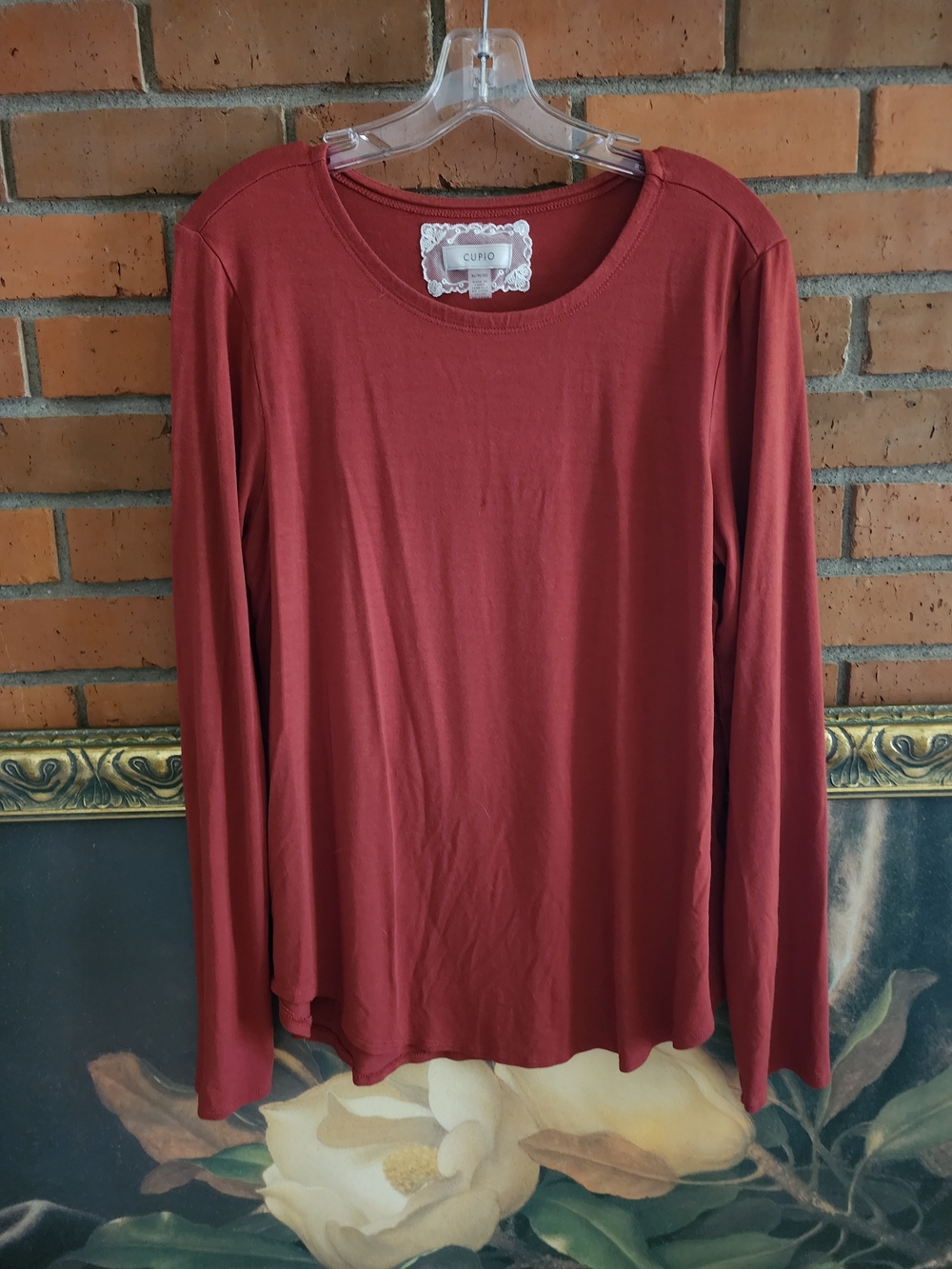 Cupio Long-Sleeve Crewneck Top in Rust